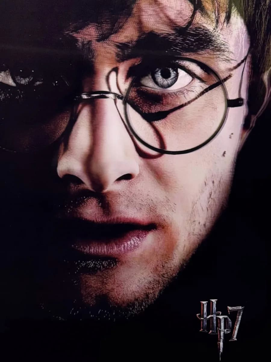Гарри Поттер: Дары Смерти
